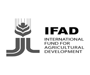 Logo IFAD