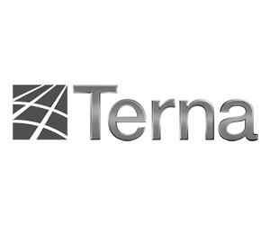 Logo Terna